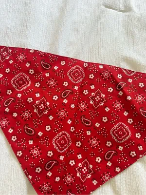 Reversible Bandana Triangle Scarf Accessories Tie Scarf Country Festival Western thumbnail 5