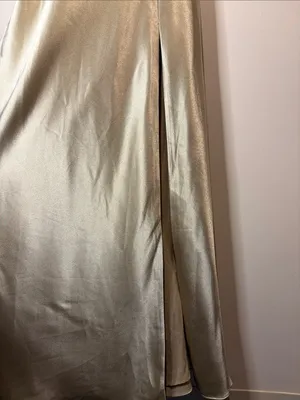 Birdy Grey NWT Lisa Long Shiny Satin Dress Neutral Champagne Size M thumbnail 9