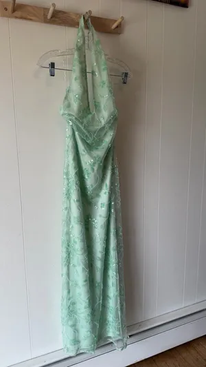 Peppermayo Cydney Beaded Maxi Dress Sage Green Size 6 NWT thumbnail 3