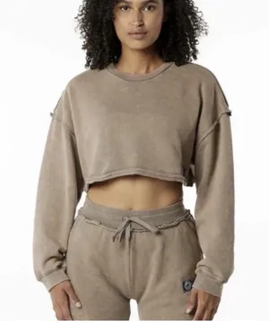 Alphalete Women's Terry Oversized Crop Pullover - Smockey Quartz , Size Small thumbnail 1
