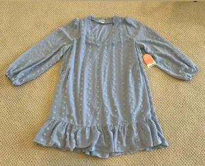 NWT Arula Swiss Dot Vneck Dress, Size A 1X, Dusty Blue, Longsleeve, Short thumbnail 1