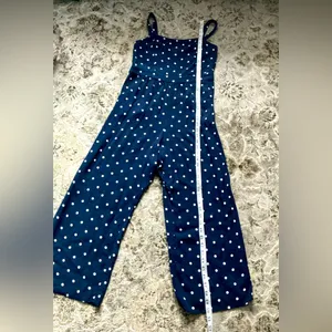 Loft Pretty jumpsuit 💙💙💙💙 thumbnail 4