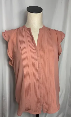 H&M Sheer Blouse Romantic Cottagecore Top 6 Pink Pintuck Flutter Sleeve Blouse thumbnail 1