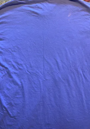 Champion T-shirt Size XL Purple thumbnail 5