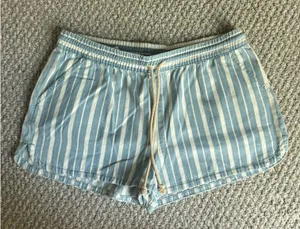 American Eagle Outfitters Shorts thumbnail 1
