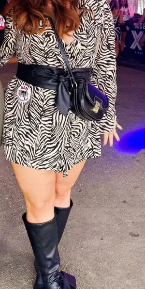 Zara Ruffled Zebra Print Dress thumbnail 2