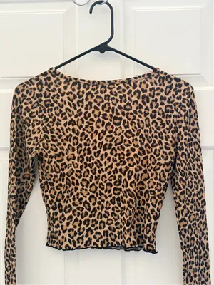 Forever 21 Leopard Print V-Neck Long Sleeve Top - Tan and Black thumbnail 5