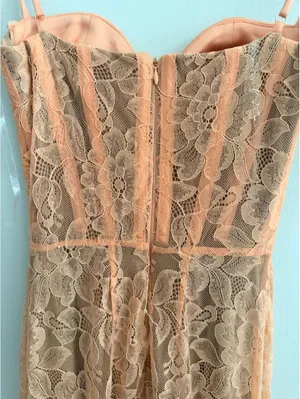 House Of Cb Cordelia Lace-Embroidered Corset Maxi Dress thumbnail 7