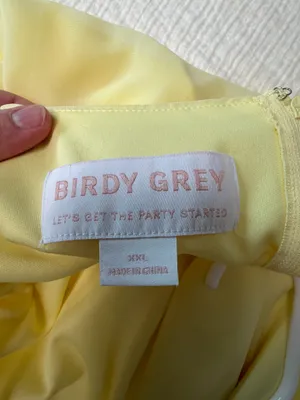 Birdy Grey Bridesmaid Dress thumbnail 4