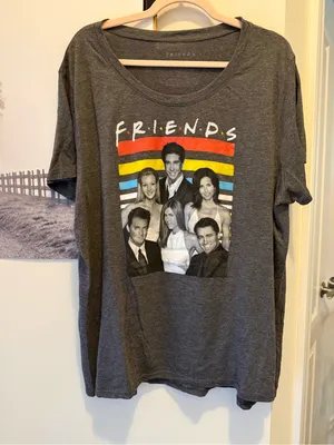 FRIENDS Graphic Tee in Charcoal with Rainbow Stripes and characters 1X thumbnail 1
