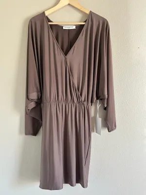 NWT Amanda Uprichard Thomas Dress Taupe size Medium thumbnail 2