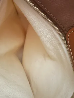 Dooney & Bourke Raleigh Roxy Leather Crossbody Shoulder Purse Bag thumbnail 6