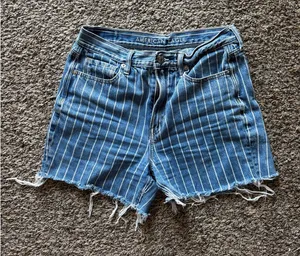 American Eagle Shorts thumbnail 1