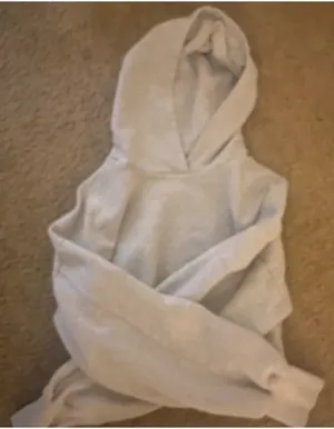 Aerie OFFLINE by Cropped Hoodie thumbnail 2