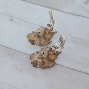 Vintage Clip On Earrings 1 & 1/8" Fall Tones Leaf Like - Tarnished? thumbnail 5