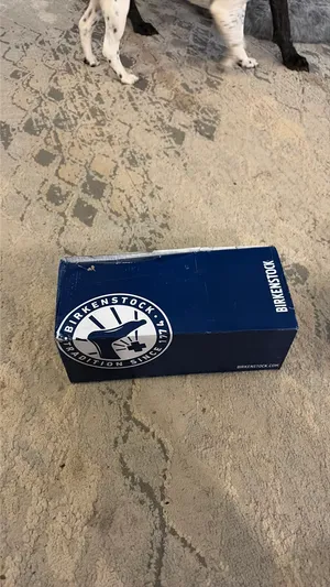 Birkenstocks thumbnail 6