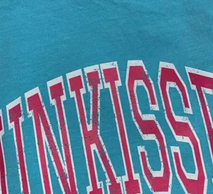 Comfort Colors Sunkissed T-Shirt  thumbnail 2