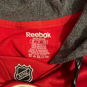 Minnesota Wild Hoodie Jersey thumbnail 3