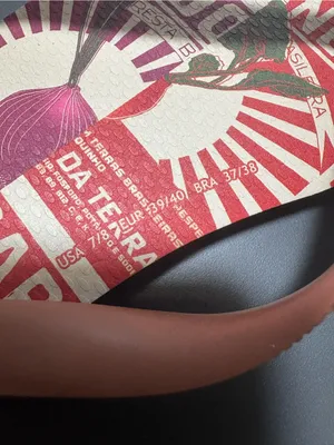 Farm Rio HAVAIANAS Flip-Flops thumbnail 7