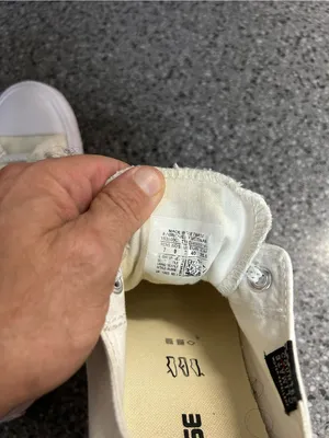 Converse Low-Top Canvas Sneakers in Off-White thumbnail 5