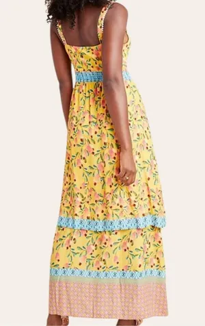 NWT Anthropologie Farm Rio Anjou Maxi Dress Size 2 Petite Retail $240.00 thumbnail 3