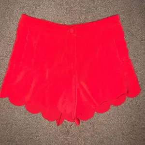 Francesca's Shorts thumbnail 1
