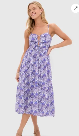 Corinne Dress - Hyacinth House thumbnail 1