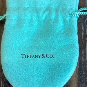 Tiffany & Co. Turquoise Jewelry Pouch thumbnail 5