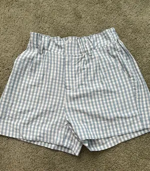 PacSun Blue Gingham Shorts thumbnail 1