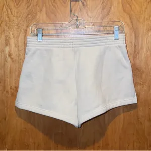 TNA Aritzia Shorts thumbnail 2