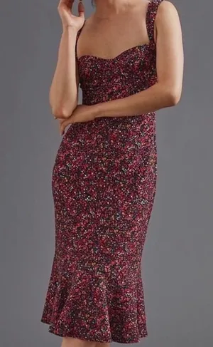 Anthropologie Dress thumbnail 2