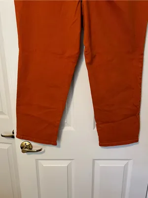 Gloria Vanderbilt Amanda cotton jean in burnt orange 20W Short thumbnail 11
