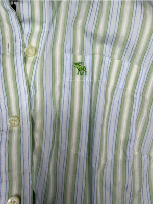 Vintage Ezra Fitch by Abercrombie & Fitch Y2K Button-Up 💚🩵 thumbnail 10