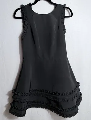 Alexis Black Ruffled Trim Sleeveless Open Back Fit & Flare Mini Dress Size L thumbnail 1