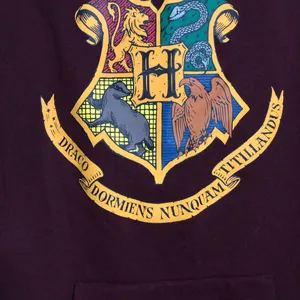 Harry‎ potter hooded sweatshirt women’s size medium. Hogwarts on back graphic thumbnail 2