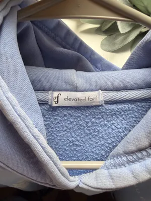 Elevated Faith Hoodie thumbnail 3