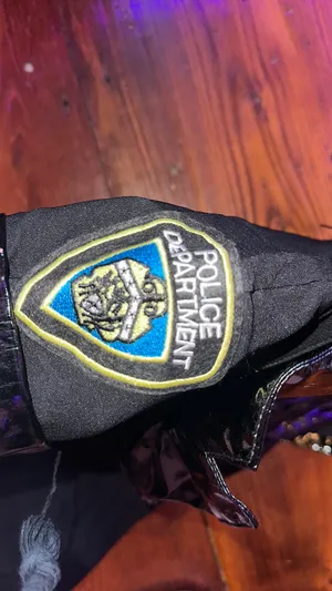 Police Spirit Halloween Costume thumbnail 4