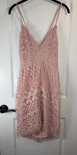 ASTR the Label Caroline Lace Mini Dress in Blush Pink Size Medium thumbnail 1