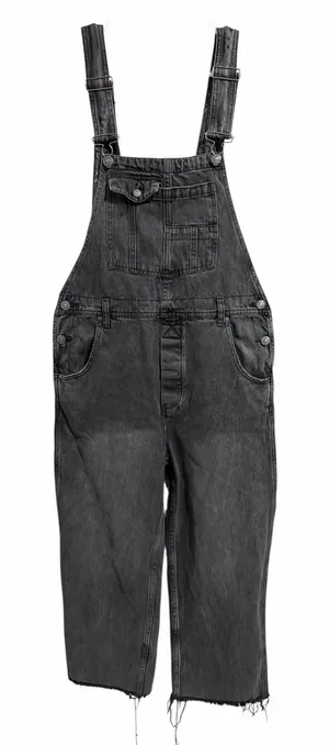 We The Free x Free People Baggy Boyfriend‎ Denim Overalls Women's Size 27 thumbnail 1