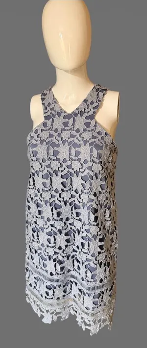 GBX Light Blue Floral Lace Sleeveless Mini Dress thumbnail 1