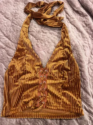 Velvet stripe Halter Lace-Up Crop Top in Bronze thumbnail 1