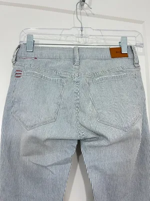 BDG Urban Outfitters Blue Size 24 Mid-Rise Cigarette Ankle Striped Jeans thumbnail 6