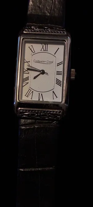 Coldwater Creek Women's Tank Watch Silver Tone Rectangular Roman Numeral Black thumbnail 1