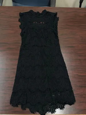 Free People Daydream Black Lace High Neck Open Back Dress Size X-Small thumbnail 1