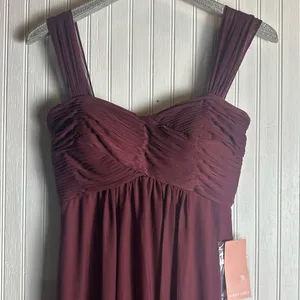 Birdy Grey Maria Cabernet Dress NEW thumbnail 4