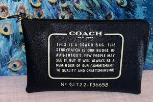 Coach Storypatch Navy Zippered Pouch thumbnail 1