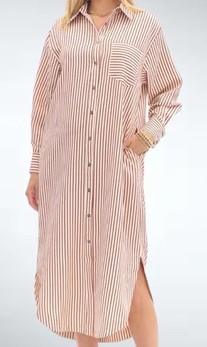 Entro Textured Stripe Button Down Shirt Dress in Rust Size S thumbnail 1