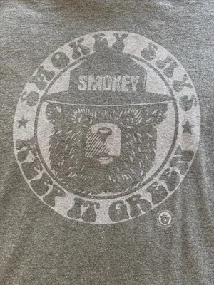Green Smokey the Bear “Keep It Green” Graphic T-Shirt thumbnail 2