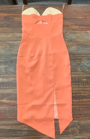 Runway Seven Runaway The Label Dress thumbnail 1