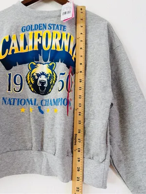 ModernLux Golden State California Bear Graphic Sweatshirt Gray XXS NWT thumbnail 7